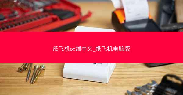 纸飞机pc端中文_纸飞机电脑版