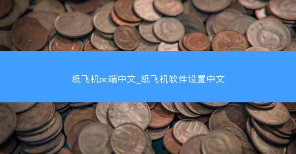 纸飞机pc端中文_纸飞机软件设置中文