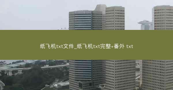 纸飞机txt文件_纸飞机txt完整+番外 txt