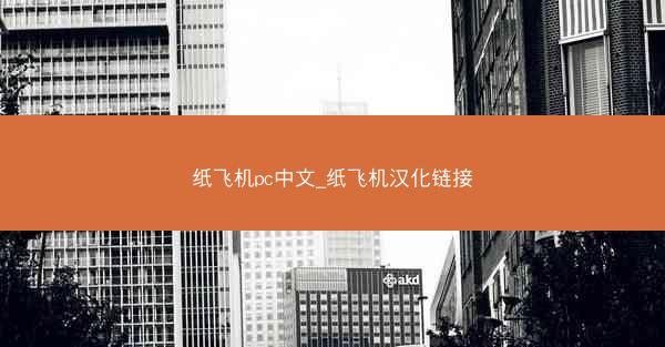 纸飞机pc中文_纸飞机汉化链接