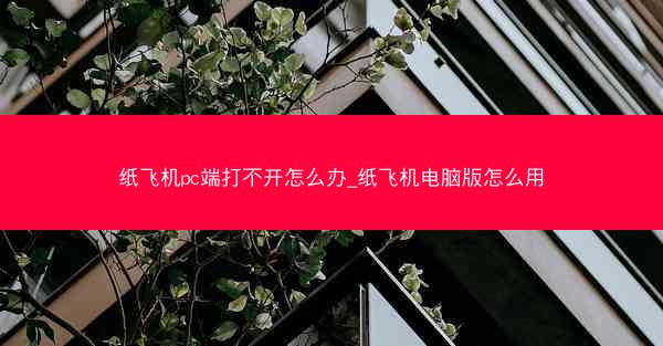 纸飞机pc端打不开怎么办_纸飞机电脑版怎么用