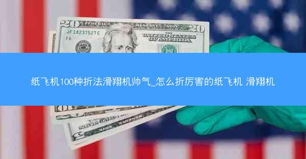 纸飞机100种折法滑翔机帅气_怎么折厉害的纸飞机 滑翔机
