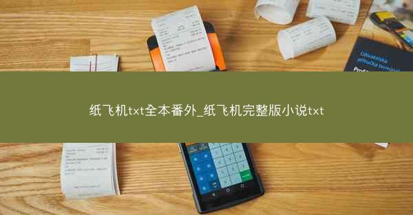 纸飞机txt全本番外_纸飞机完整版小说txt