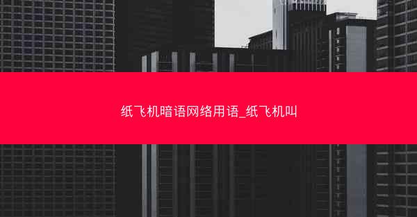 纸飞机暗语网络用语_纸飞机叫
