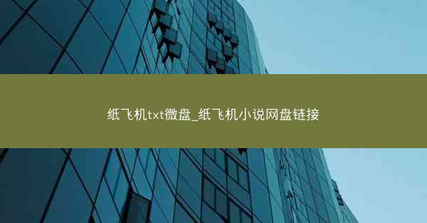 纸飞机txt微盘_纸飞机小说网盘链接