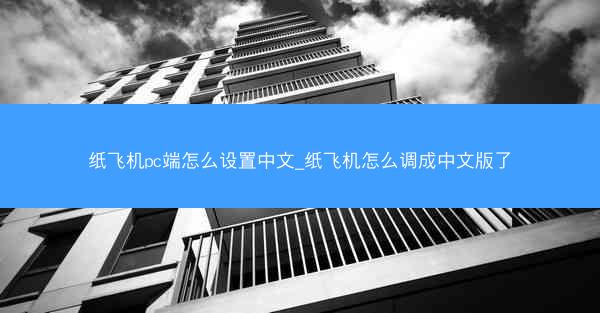 纸飞机pc端怎么设置中文_纸飞机怎么调成中文版了