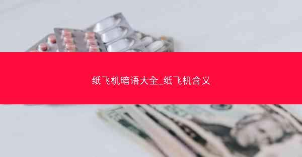 纸飞机暗语大全_纸飞机含义