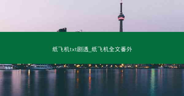 纸飞机txt剧透_纸飞机全文番外