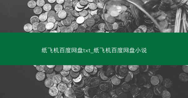 纸飞机百度网盘txt_纸飞机百度网盘小说