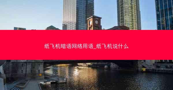 纸飞机暗语网络用语_纸飞机说什么