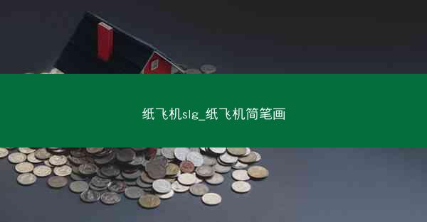 纸飞机slg_纸飞机简笔画