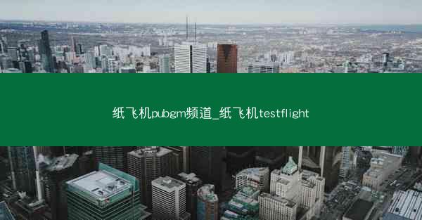 纸飞机pubgm频道_纸飞机testflight