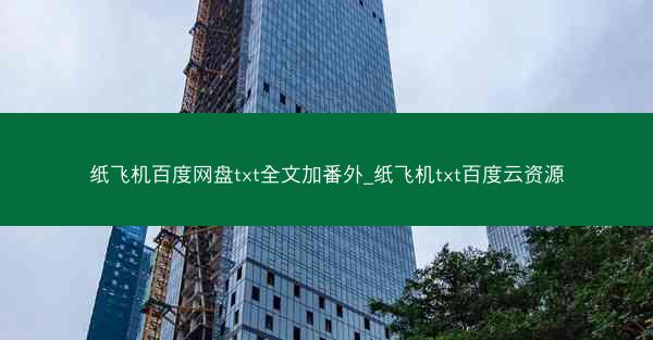 纸飞机百度网盘txt全文加番外_纸飞机txt百度云资源