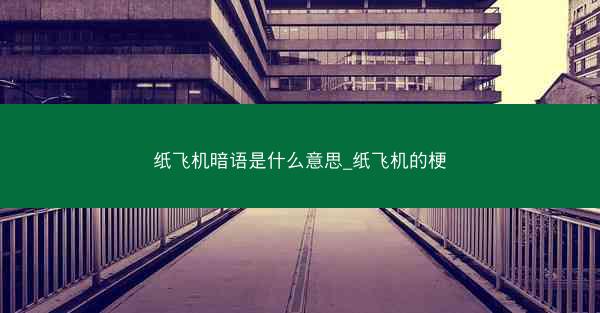纸飞机暗语是什么意思_纸飞机的梗