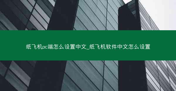 纸飞机pc端怎么设置中文_纸飞机软件中文怎么设置