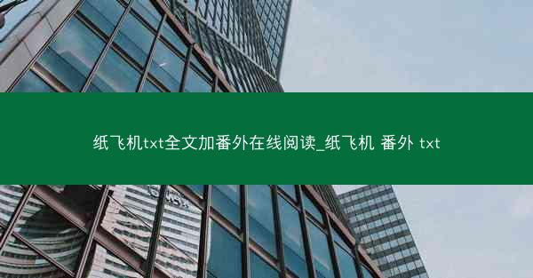 纸飞机txt全文加番外在线阅读_纸飞机 番外 txt